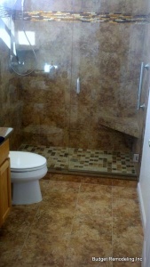 Transform tub to shower 